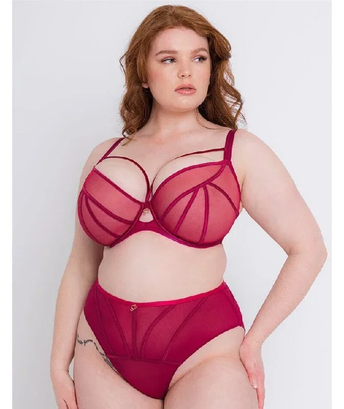 scantilly-senses-plunge-bra-cherry-purple