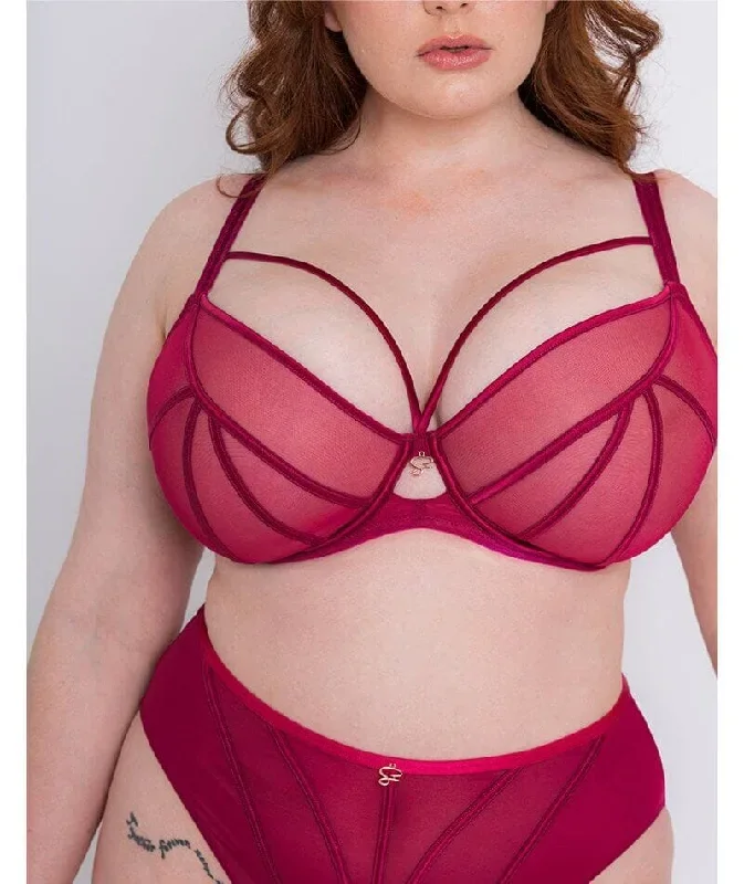 scantilly-senses-plunge-bra-cherry-purple