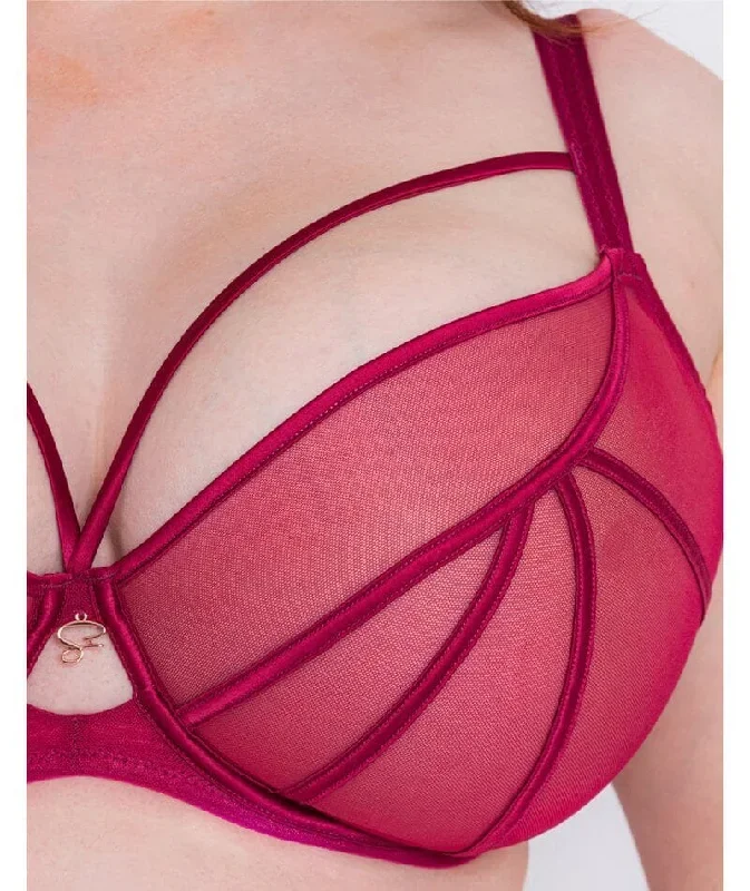 scantilly-senses-plunge-bra-cherry-purple