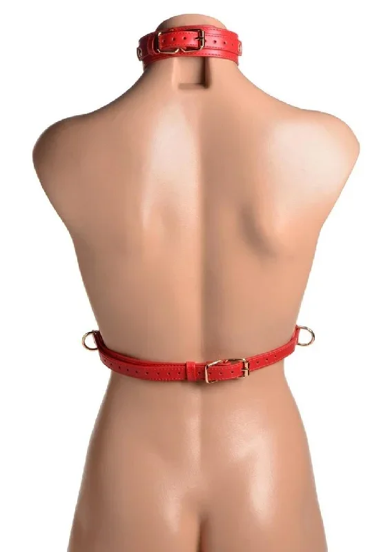 strict-female-chest-harness-1